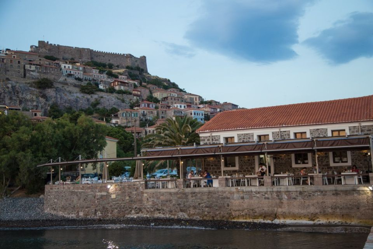 Olive Press Hotel  Apartments