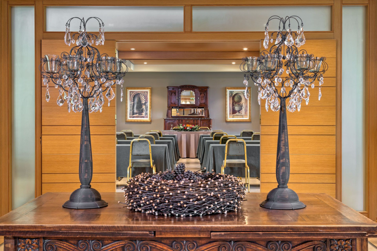 Divani Meteora Hotel