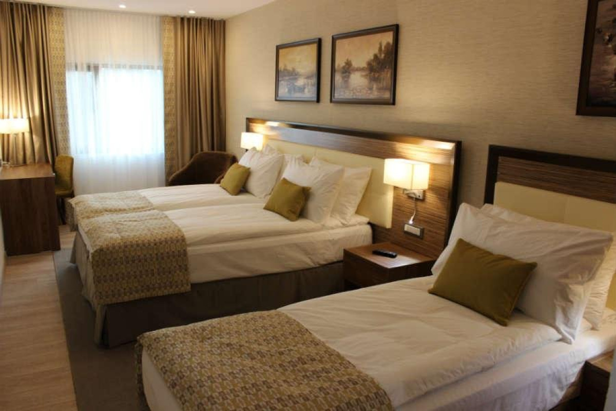HOTEL NEW EGRETA