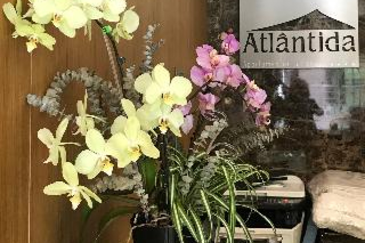 APARTAMENTOS TURISTICOS ATLANTIDA