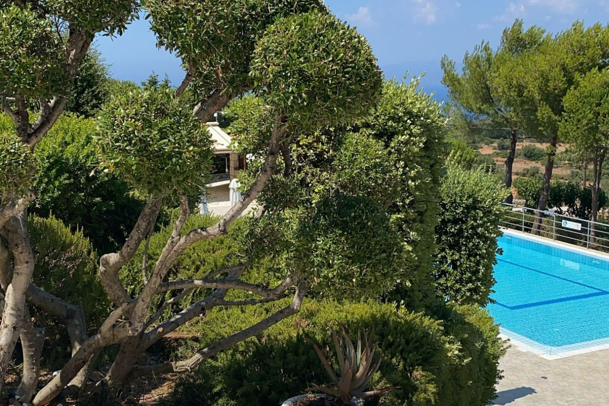 Lithies Boutique Hotel Zante