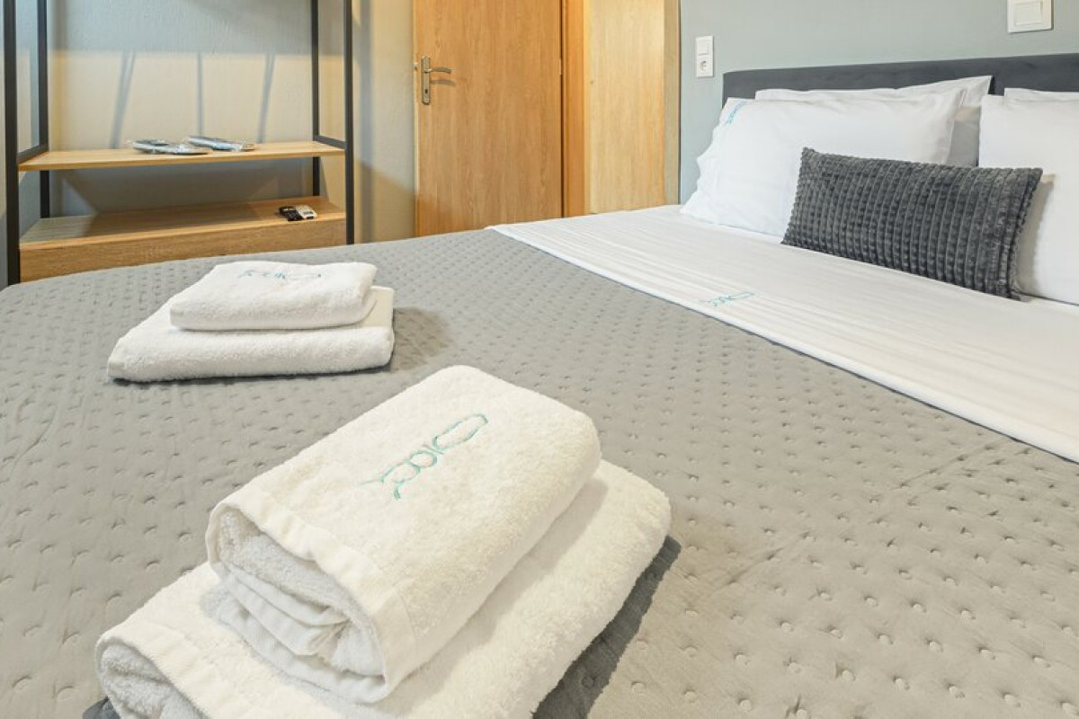 Olive Roots