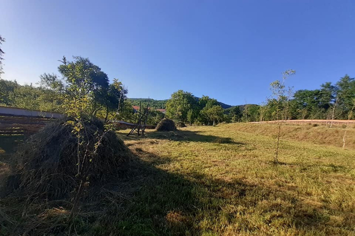 Pensiunea Valea Branzei (Barsana)