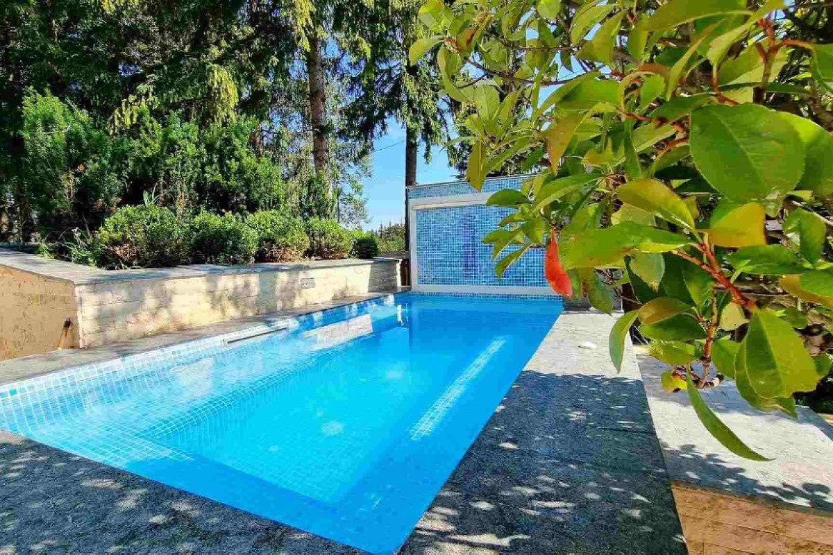 HOTEL ELEXUS PREDEAL
