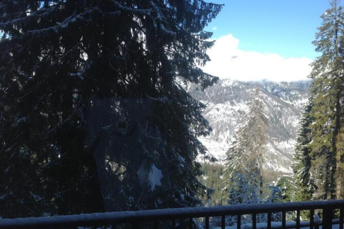 Hotel Caminetto