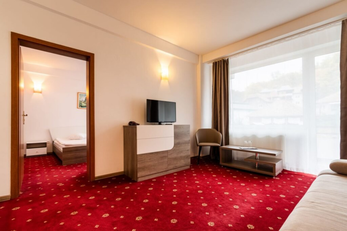 Half Day Tour of Bucharest (4 - 5 h,without accommodation)