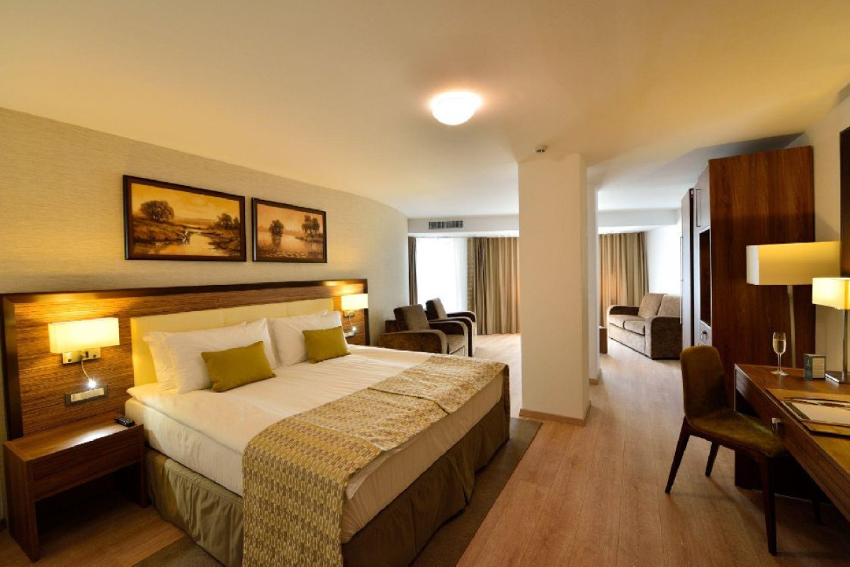 HOTEL NEW EGRETA
