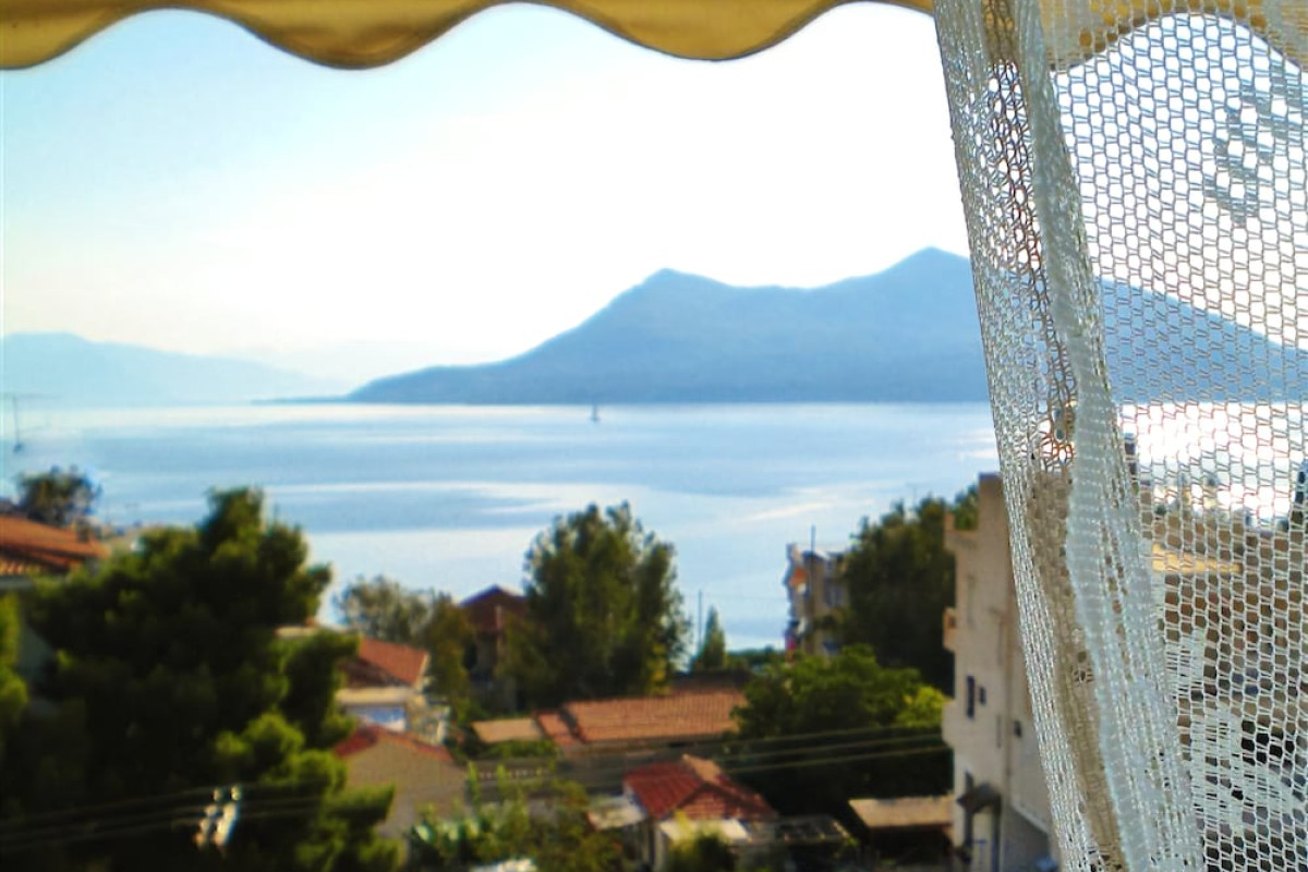 SAGINI HOTEL
