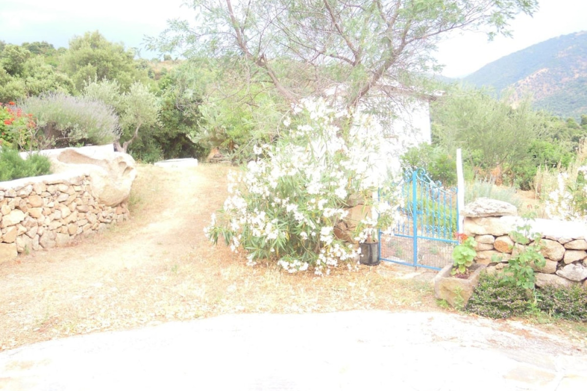 AGRITURISMO CAMISADU
