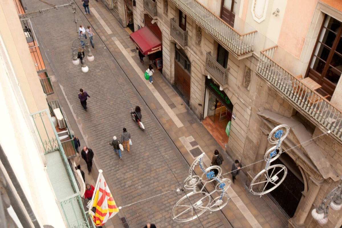 FERNANDO  (Barcelona)