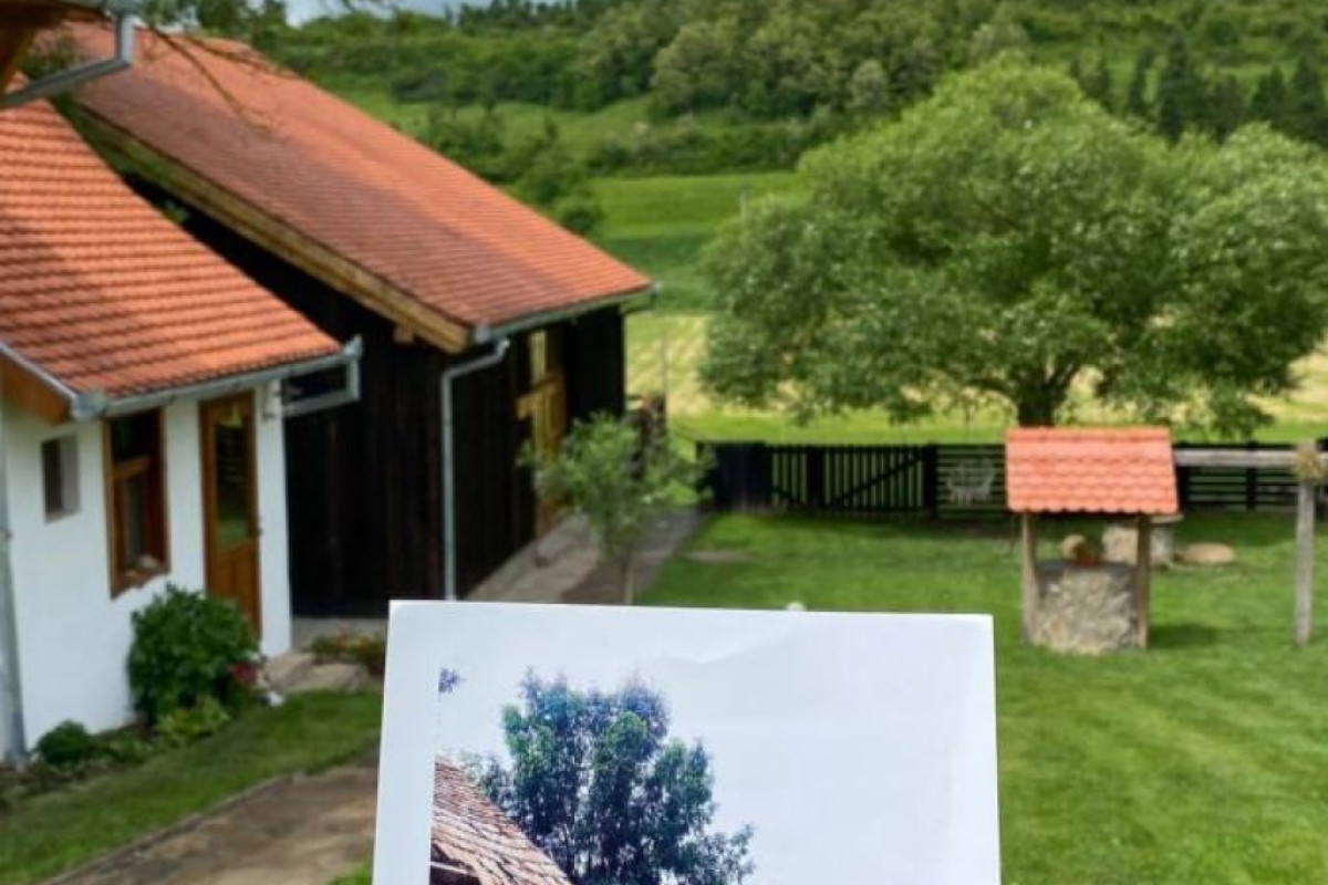 VESEUD 11