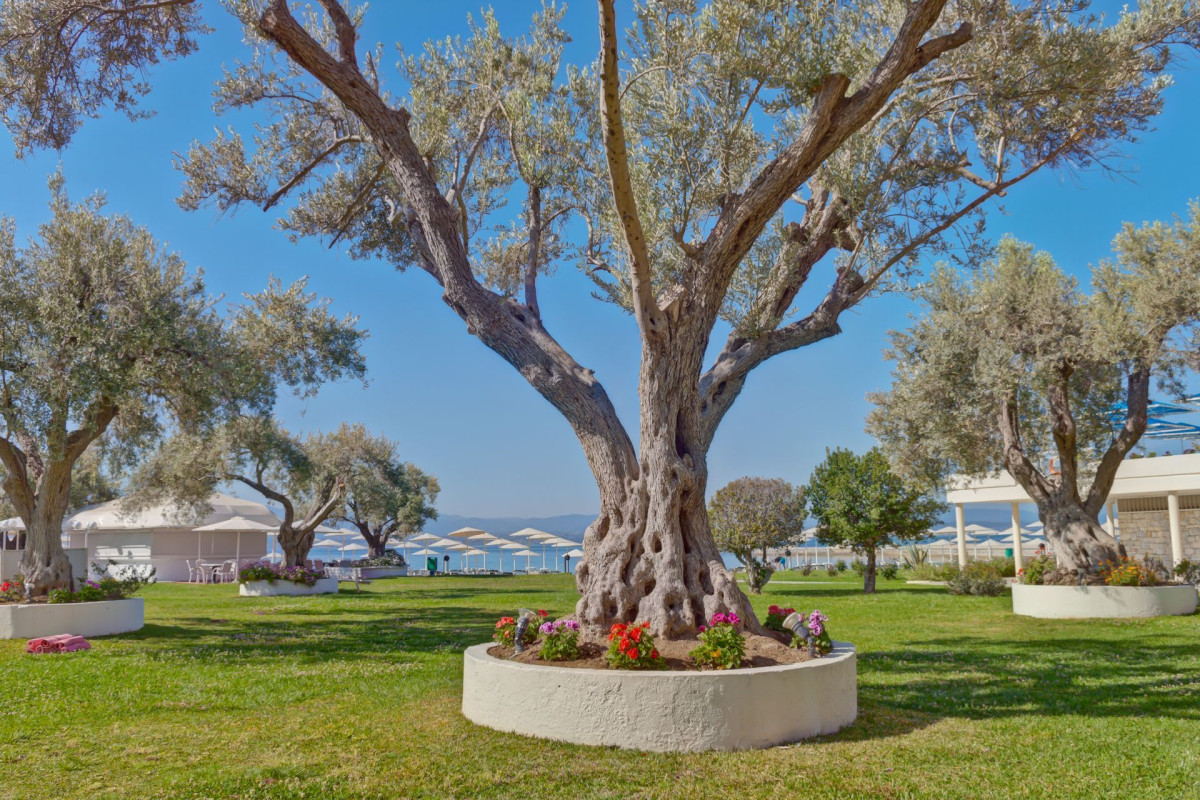 Palmariva Beach Hotel