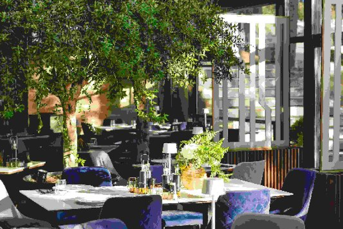 HOTEL ELEXUS PREDEAL