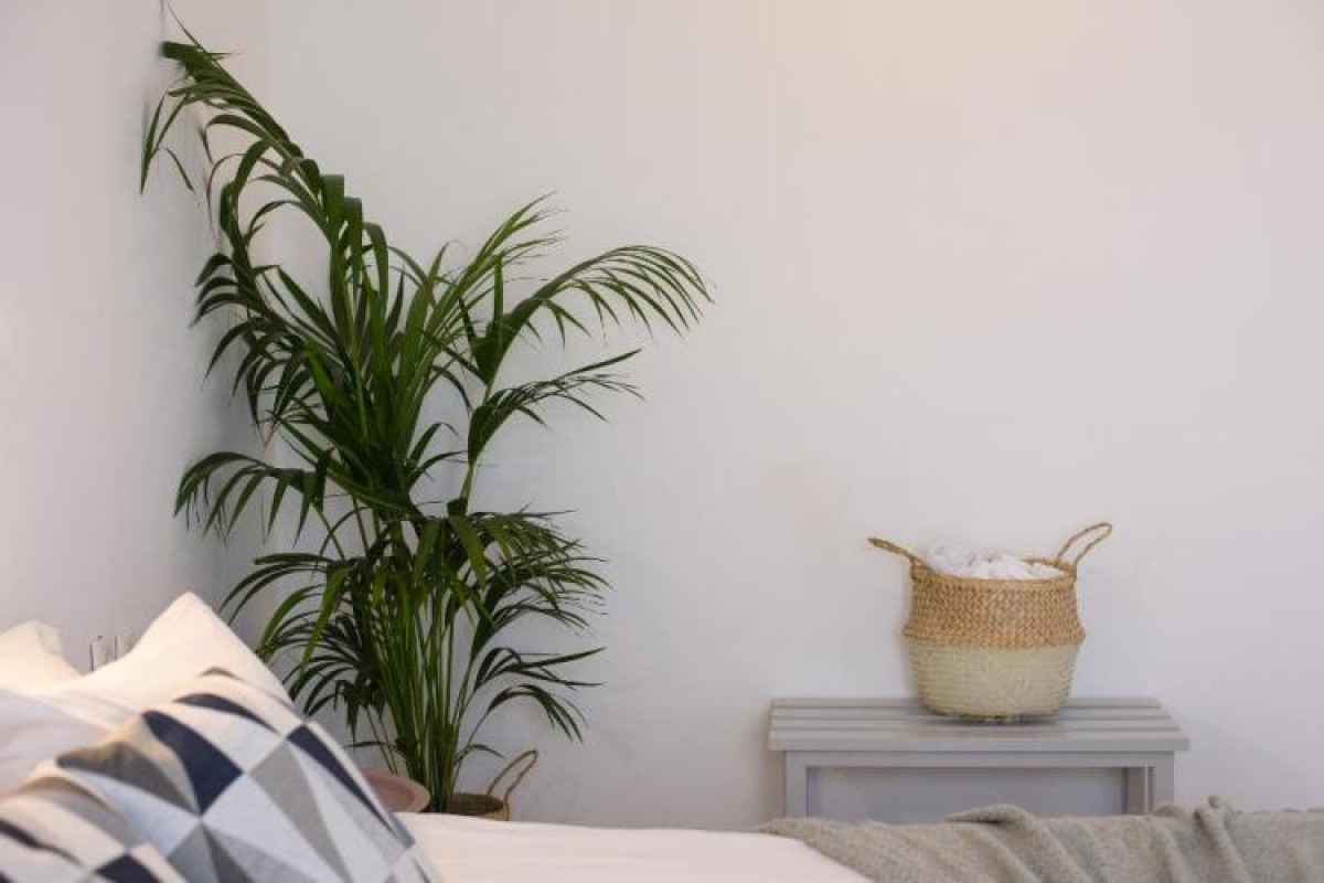 Aquarius Beach Eco-Hotel