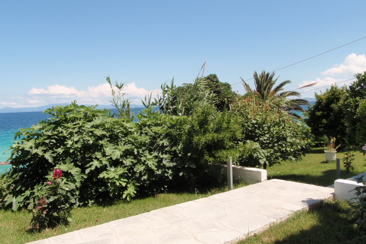 White Suites Resort