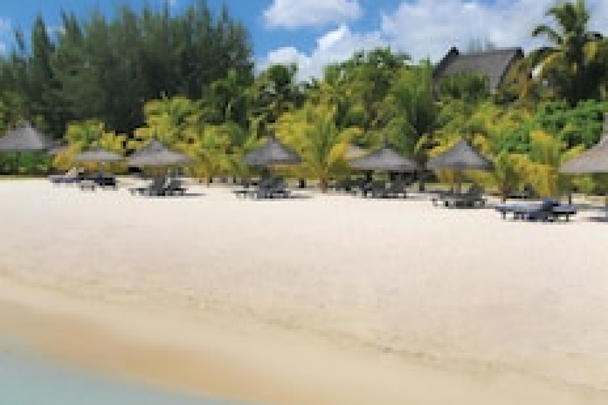 DINAROBIN BEACHCOMBER