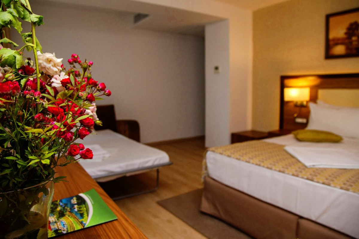 HOTEL NEW EGRETA