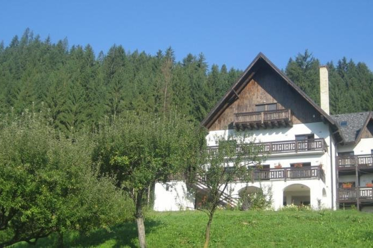 Pensiunea BUCOVINA LODGE