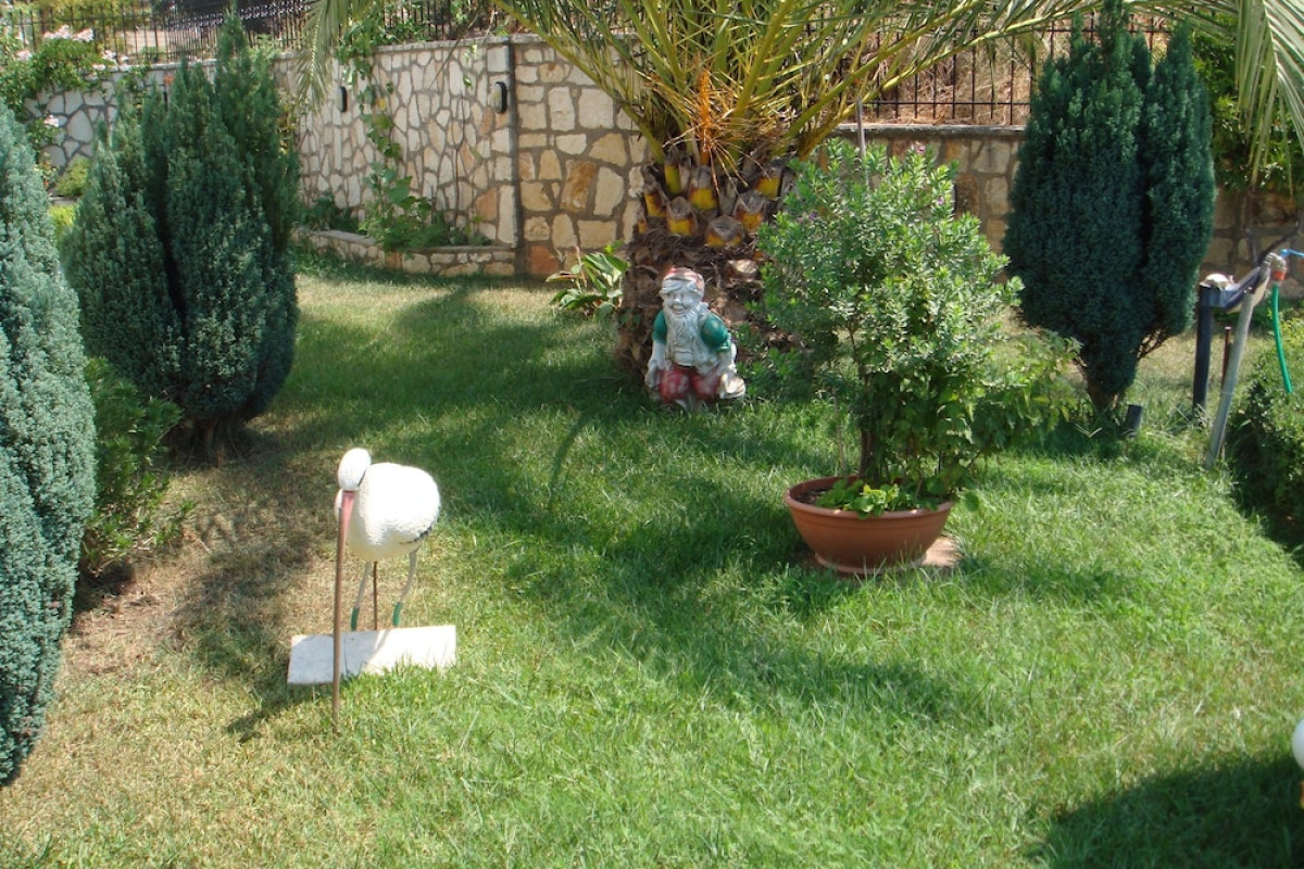 DELPHIN ROOMS SIVOTA