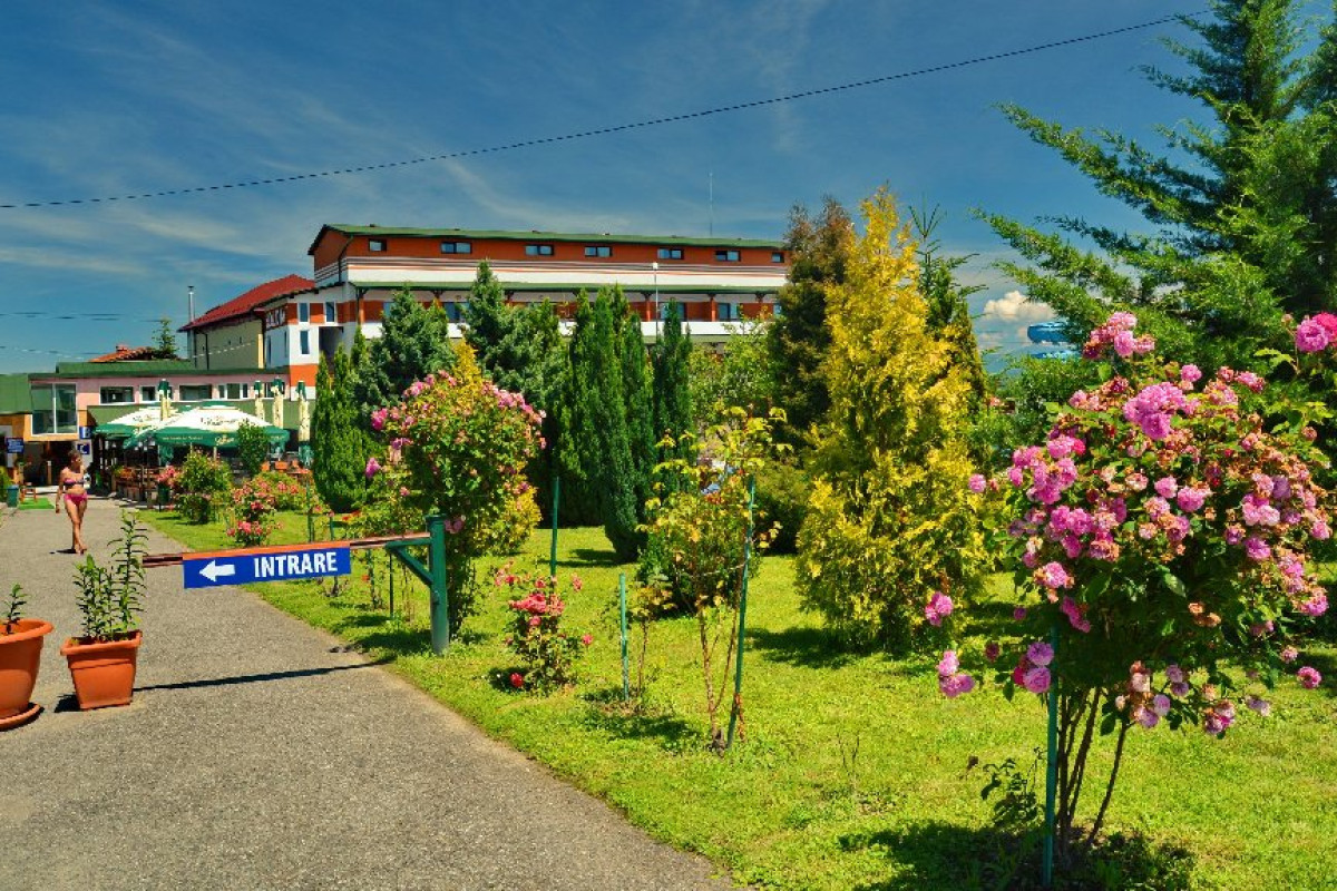 Holiday
