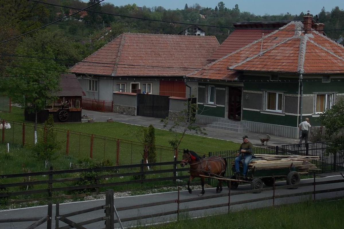 Muntele Rece
