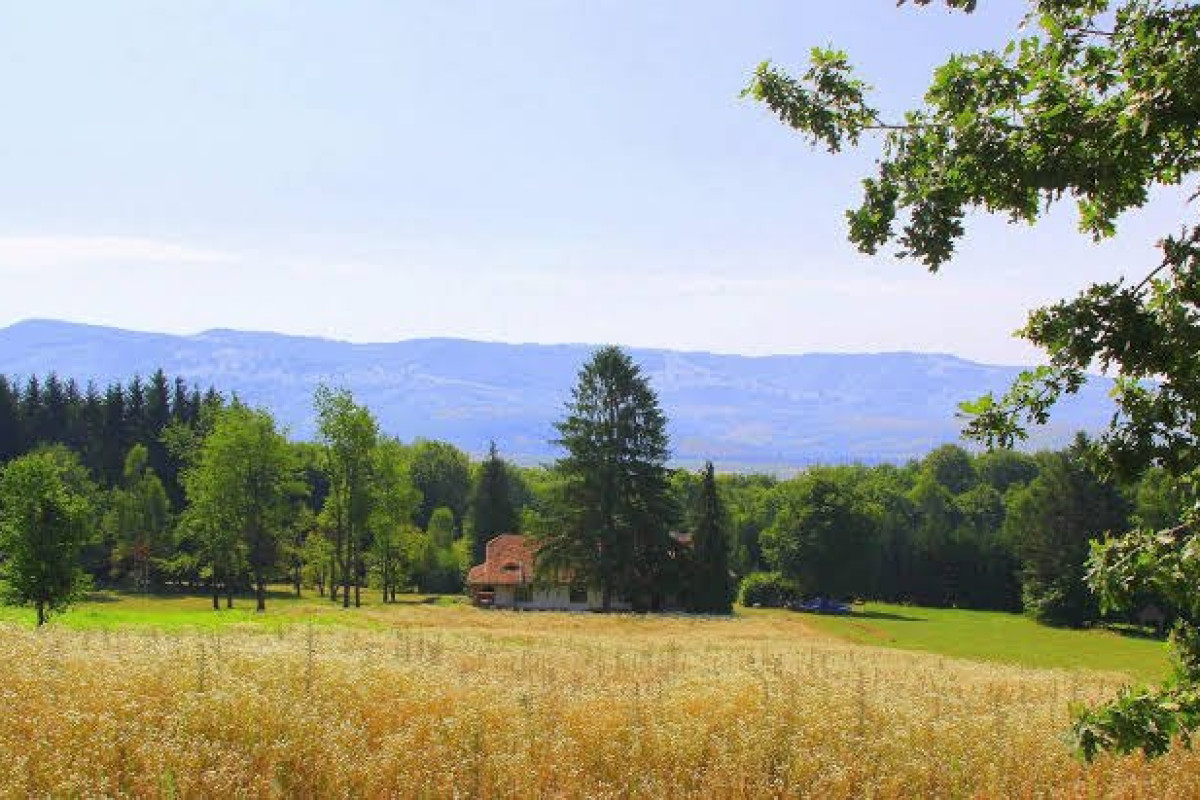 DOBRICA HUNTING LODGE