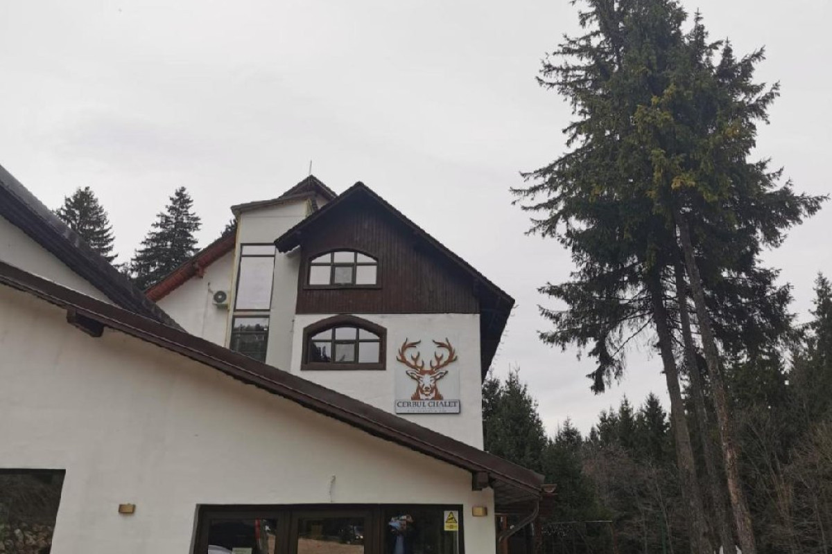 . Cabana CERBUL Camere de inchiriat