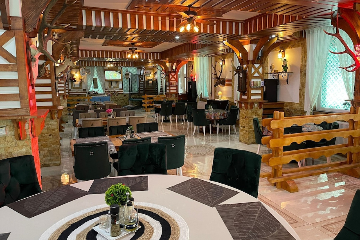 CABANA SURA GETILOR ARINIS