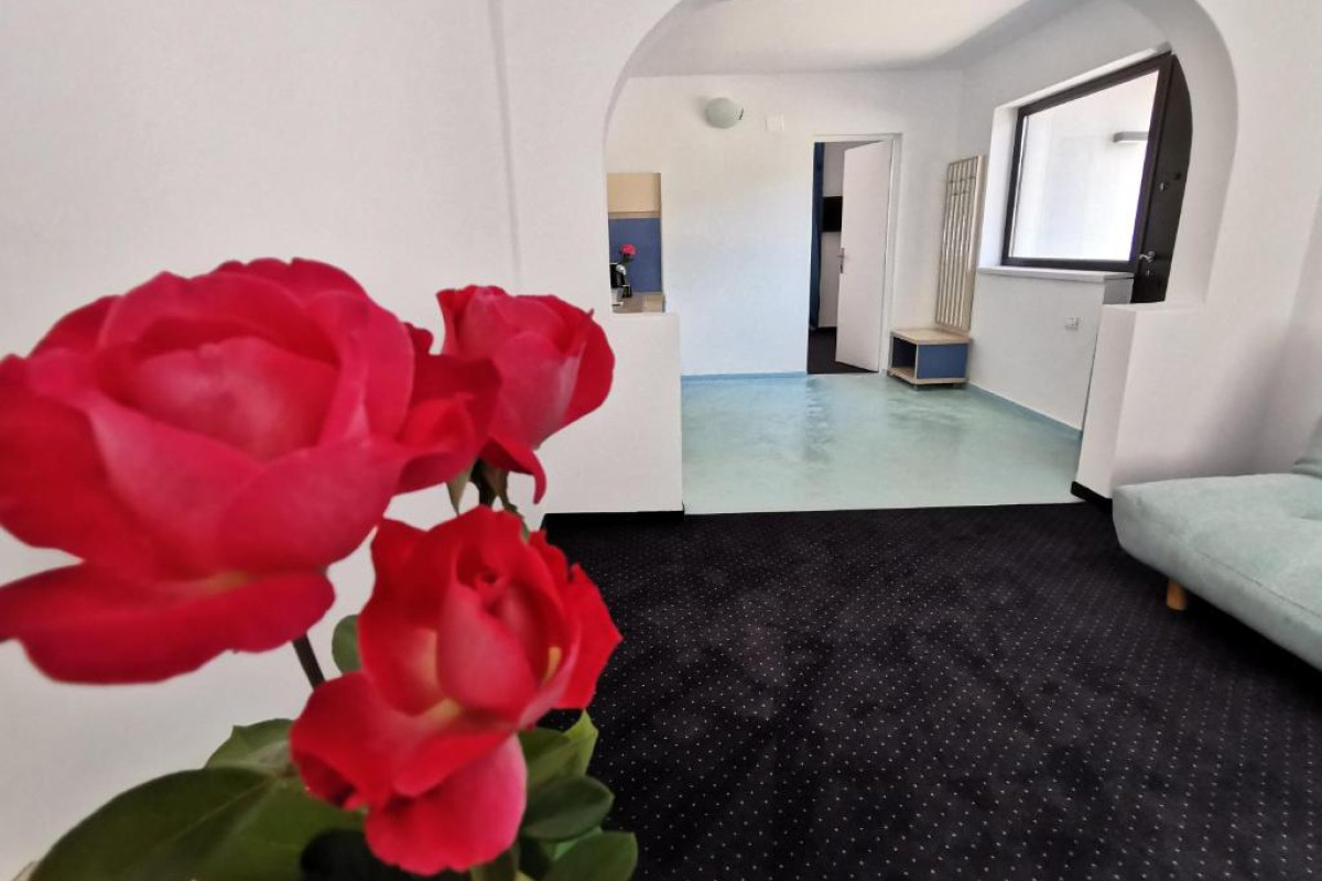 Apartamente Liliacul