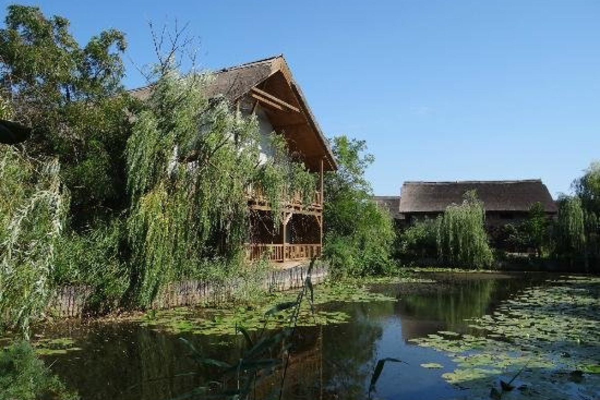 COMPLEX GREEN VILLAGE