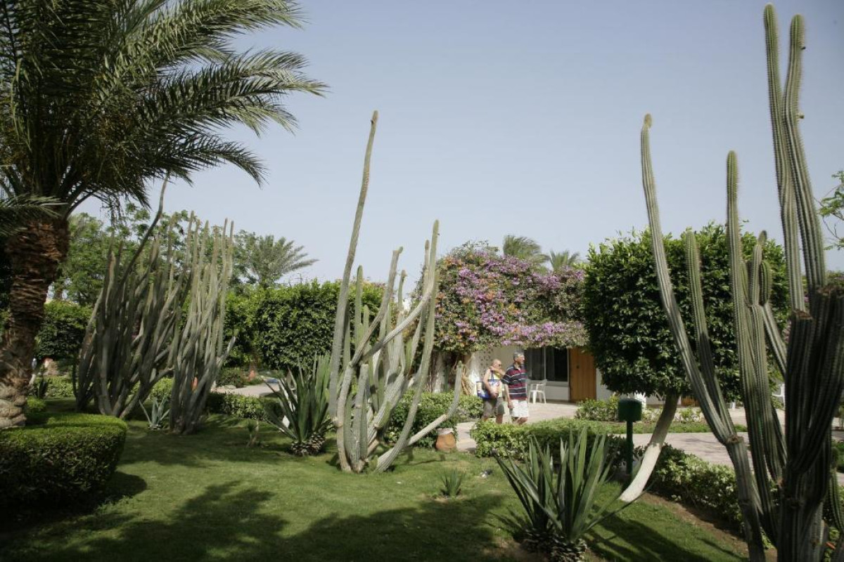 SHAMS SAFAGA RESORT