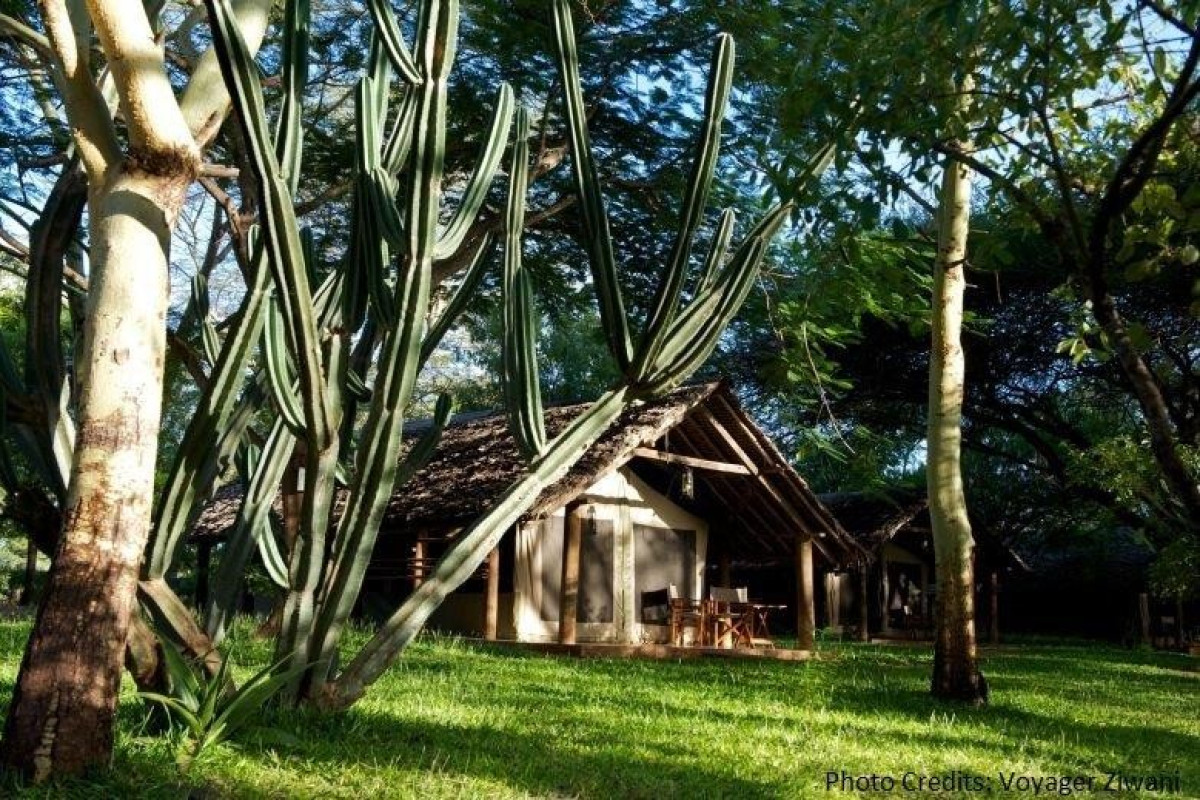 Prideinn Flamingo Beach Resort and Safari Tsavo Explorer RO