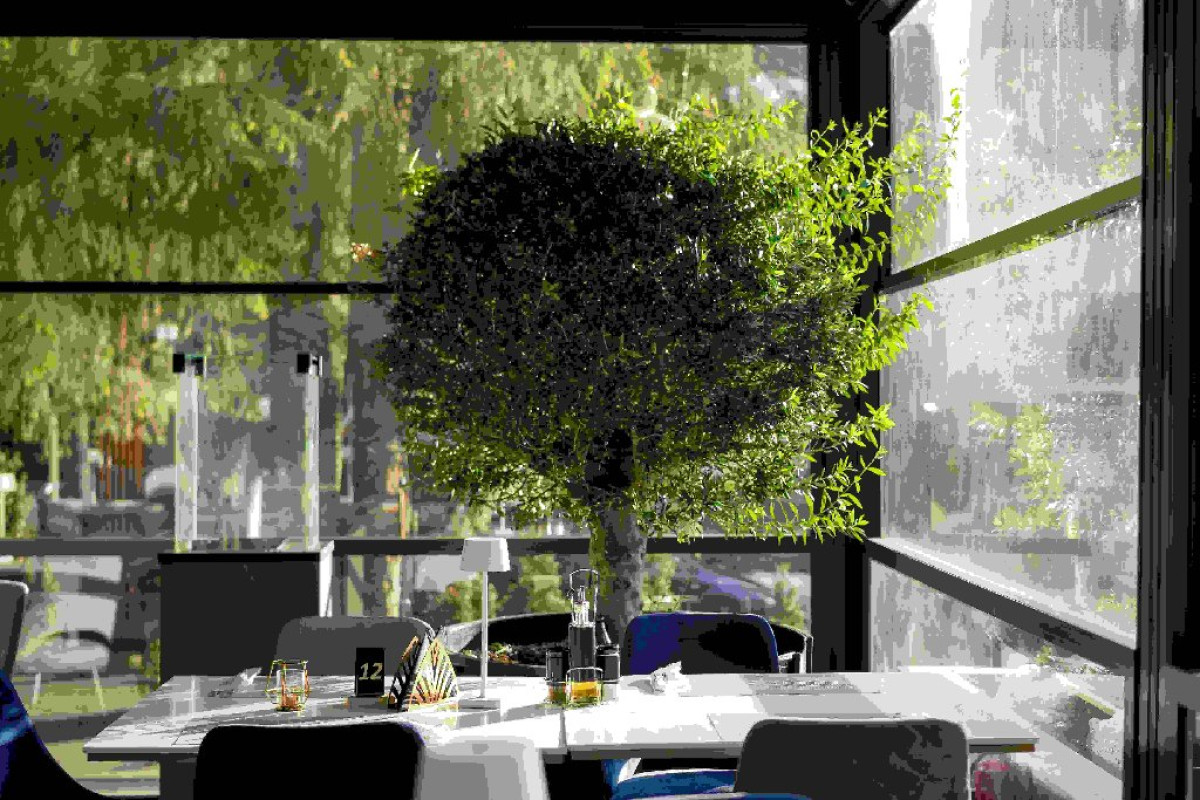 HOTEL ELEXUS PREDEAL