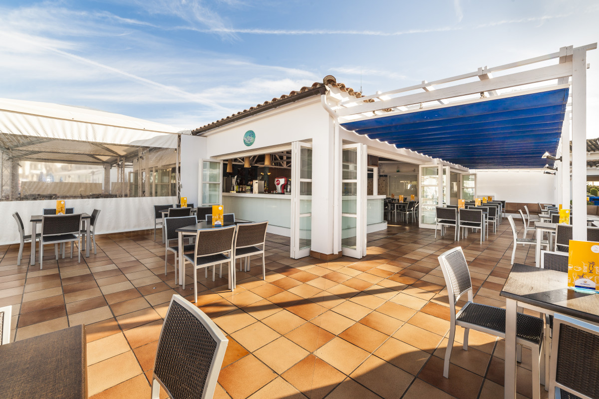 Globales Bouganvilla