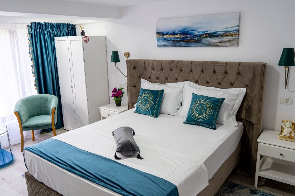 Hotel Ibis Styles Dunarea