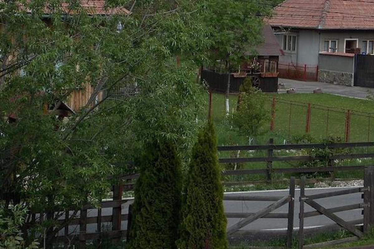 Muntele Rece
