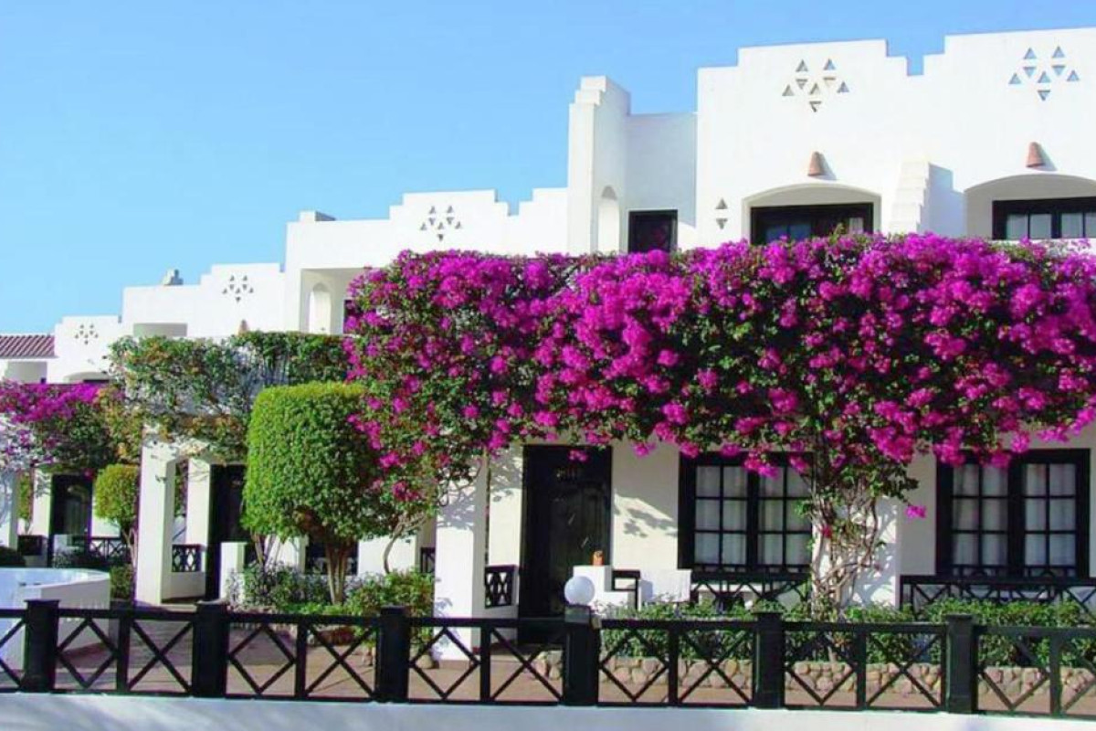 Verginia Sharm Resort  Aqua Park****