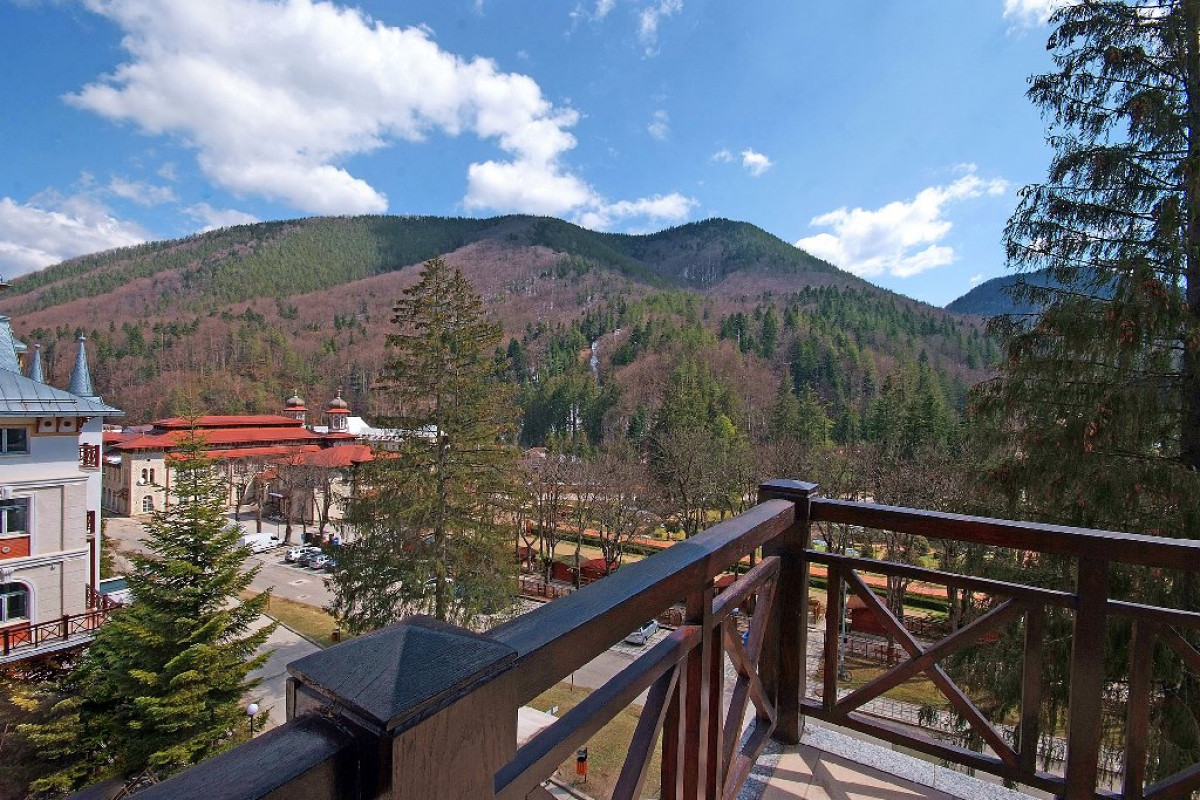 COMPLEX PANORAMIC