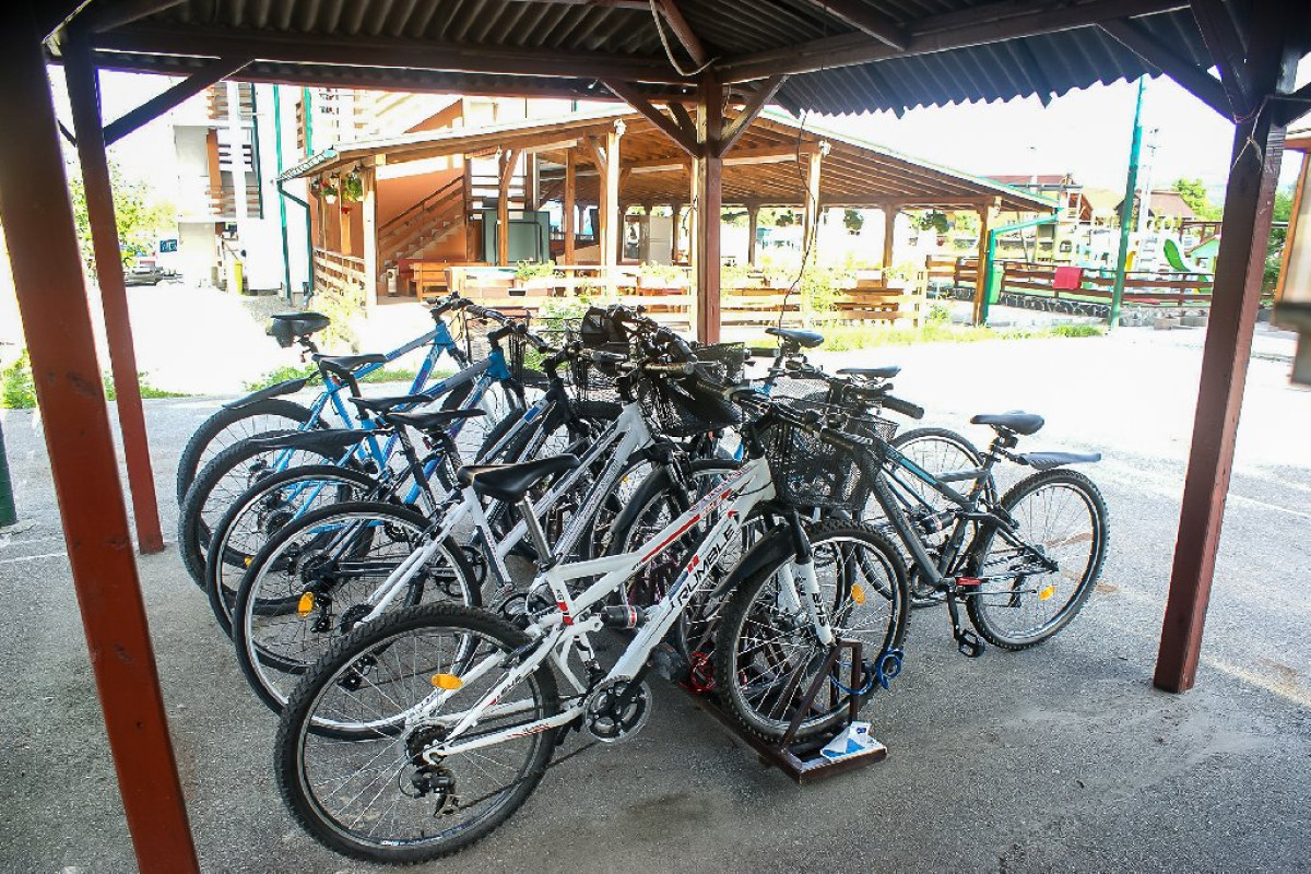 PENSIUNEA HOLIDAY
