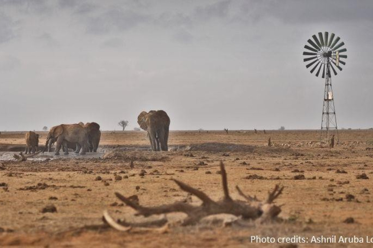 Bahari Beach and Safari Tsavo Explorer RO