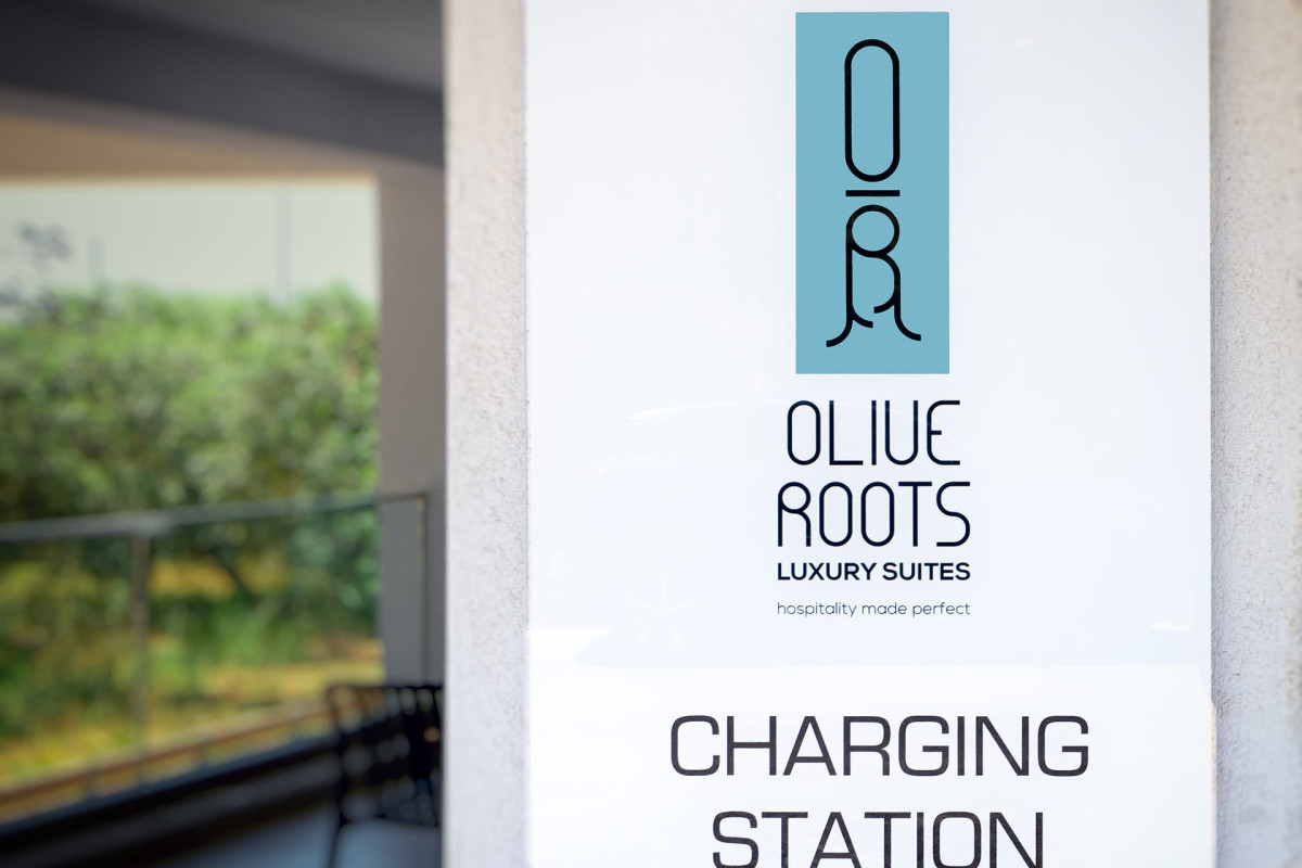 Olive Roots Thassos