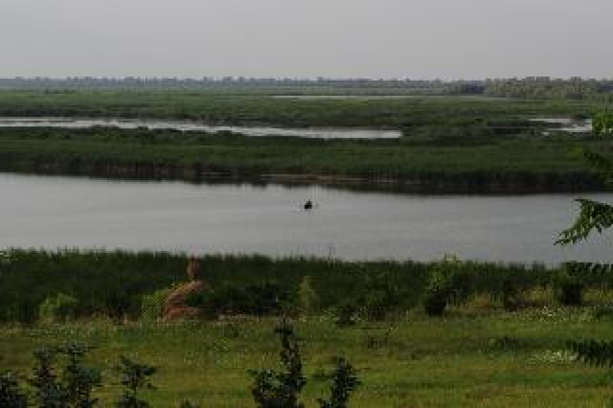DELTA NATURE RESORT