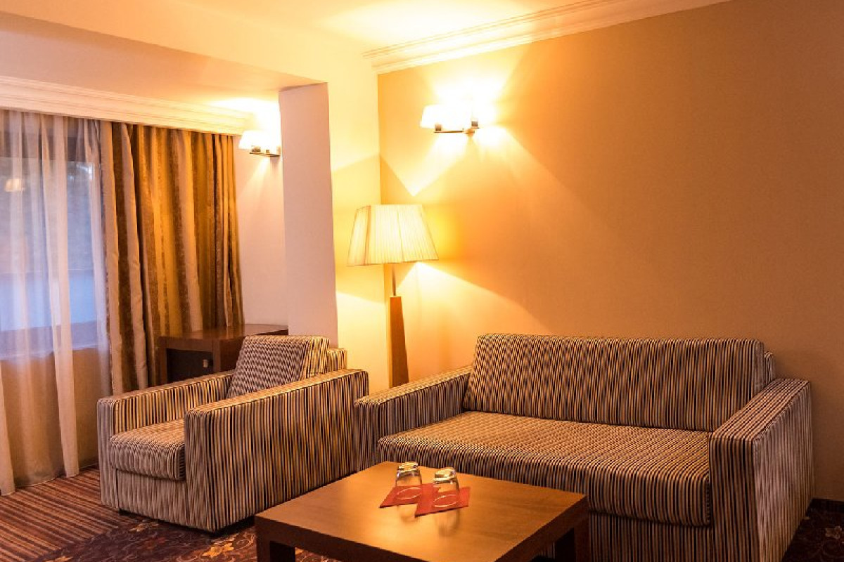 HOTEL PHOENIX CONFERENCE SPA BUZIAS