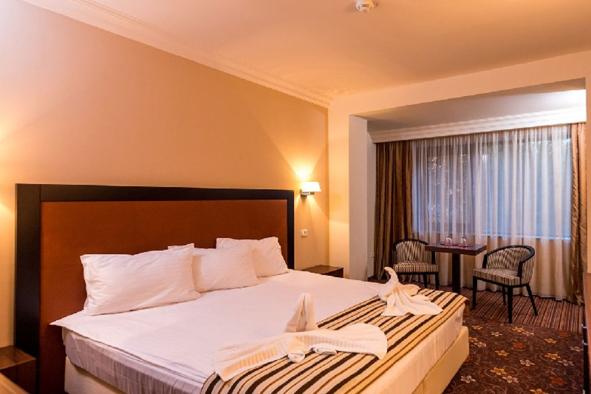 HOTEL PHOENIX CONFERENCE SPA BUZIAS