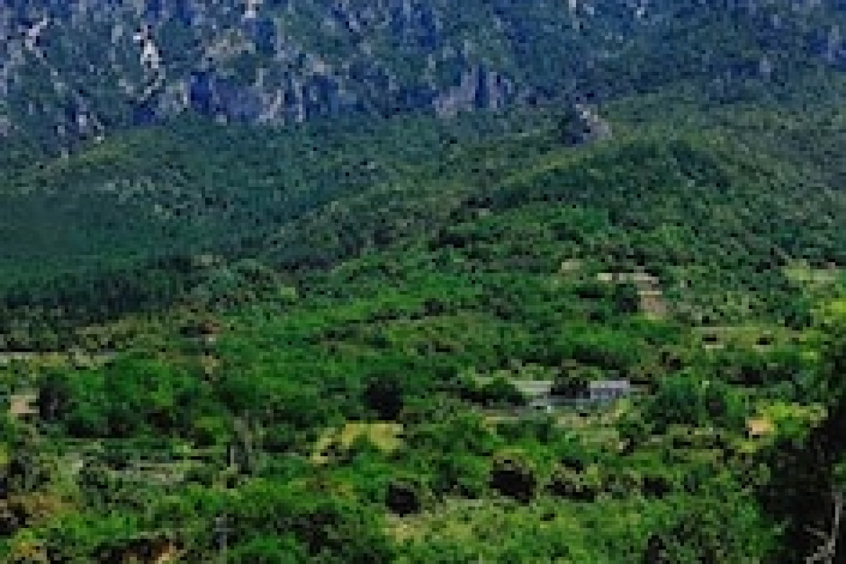 ENIS MONTE MACCIONE