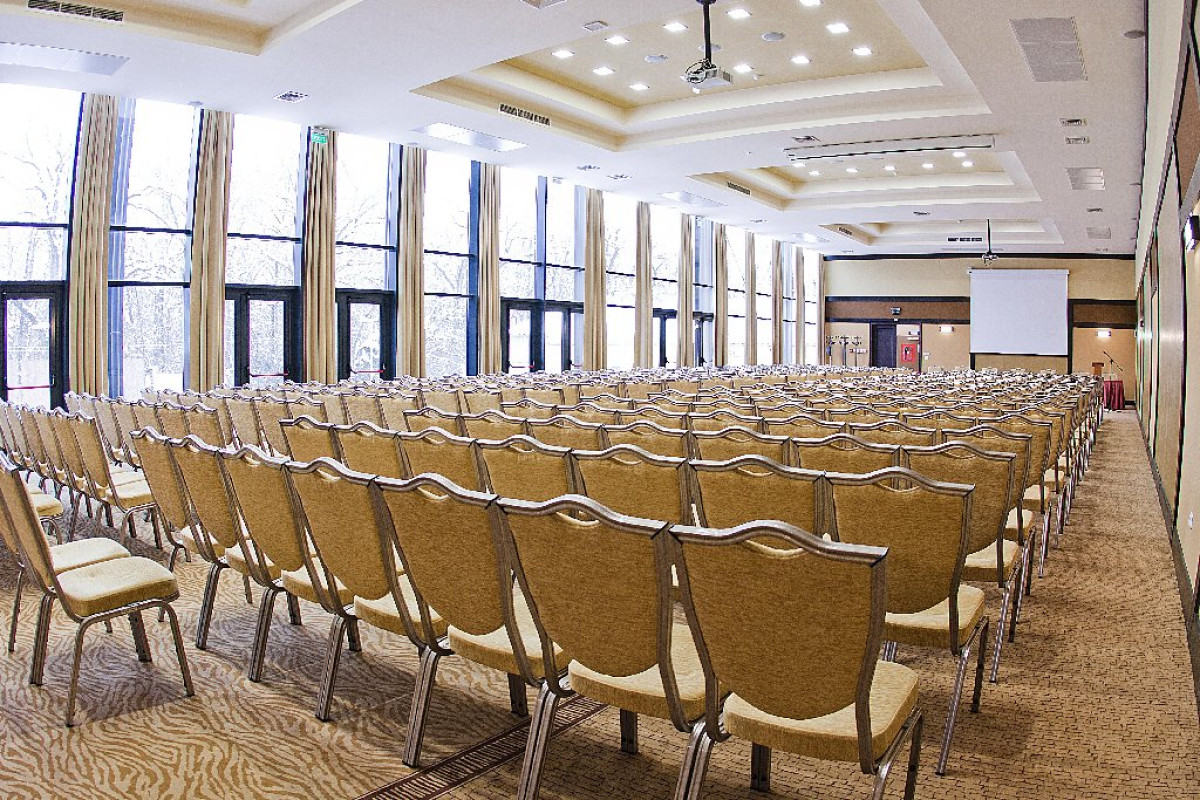 HOTEL PHOENIX CONFERENCE SPA BUZIAS