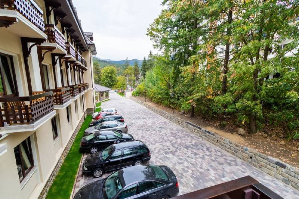 Pensiunea Gradina lu Ion (Viseu de Sus)