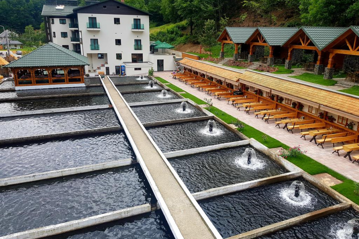 COMPLEX LOSTRITA