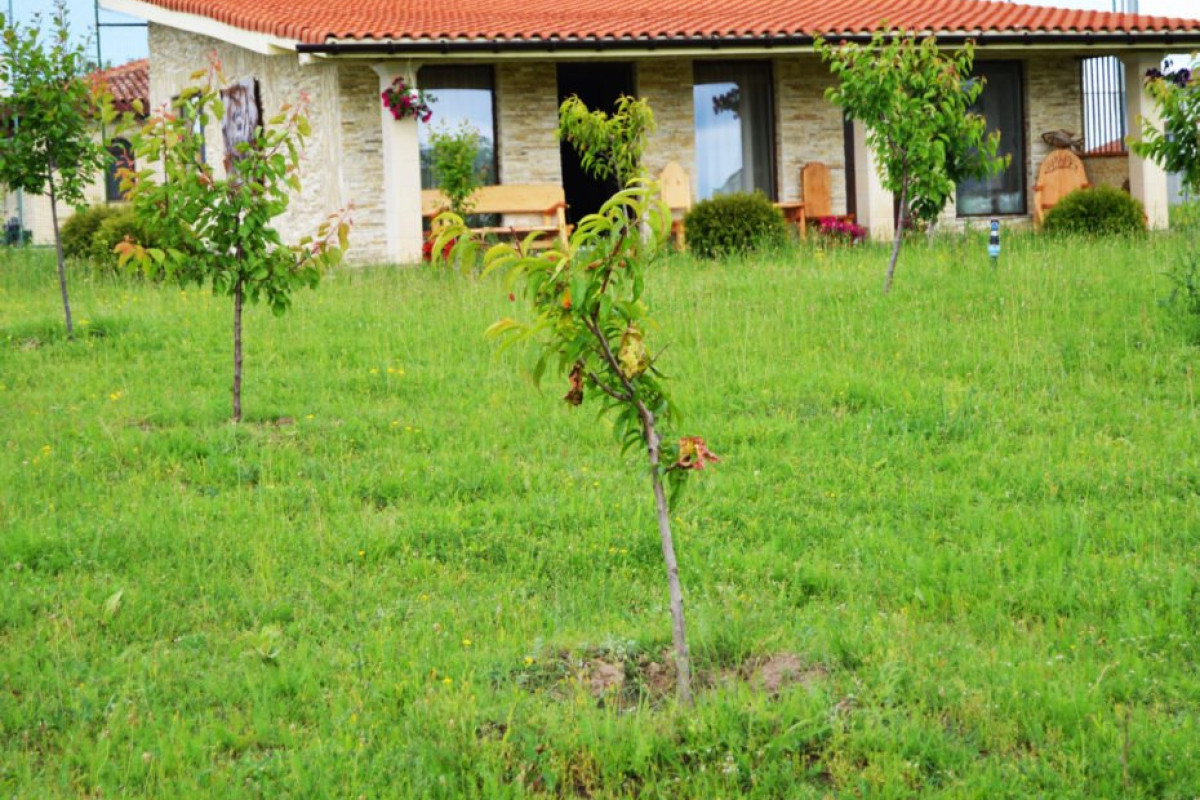 Puflene Resort