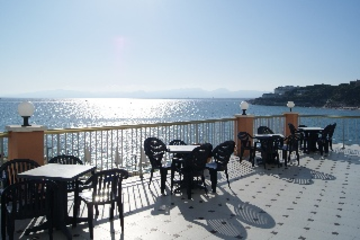 BEST NEGRESCO